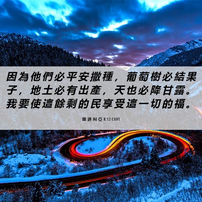 Picture 06 - 撒 迦 利 亞 8:12 CUVT - 因 為 他 們 必 平 安 撒 種 ， 葡 萄 - Bible Verse Picture