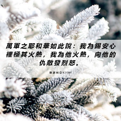 Picture 06 - 撒 迦 利 亞 8:2 CUVT - 萬 軍 之 耶 和 華 如 此 說 ： 我 為 - Bible Verse Picture