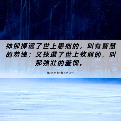 Picture 06 - 歌 林 多 前 書 1:27 CUVT - 神 卻 揀 選 了 世 上 愚 拙 的 ， 叫 - Bible Verse Picture