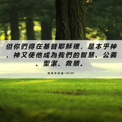 Picture 06 - 歌 林 多 前 書 1:30 CUVT - 但 你 們 得 在 基 督 耶 穌 裡 ， 是 - Bible Verse Picture
