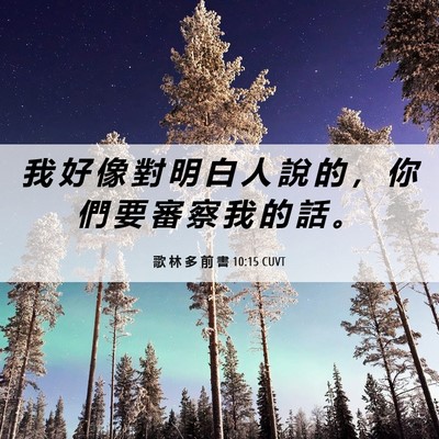 Picture 06 - 歌 林 多 前 書 10:15 CUVT - 我 好 像 對 明 白 人 說 的 ， 你 們 - Bible Verse Picture