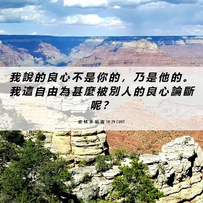 Picture 06 - 歌 林 多 前 書 10:29 CUVT - 我 說 的 良 心 不 是 你 的 ， 乃 是 - Bible Verse Picture