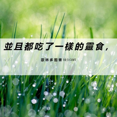 Picture 06 - 歌 林 多 前 書 10:3 CUVT - 並 且 都 吃 了 一 樣 的 靈 食 - Bible Verse Picture
