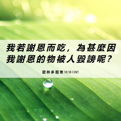 Picture 06 - 歌 林 多 前 書 10:30 CUVT - 我 若 謝 恩 而 吃 ， 為 甚 麼 因 我 - Bible Verse Picture