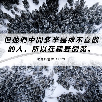Picture 06 - 歌 林 多 前 書 10:5 CUVT - 但 他 們 中 間 多 半 是 神 不 喜 歡 - Bible Verse Picture