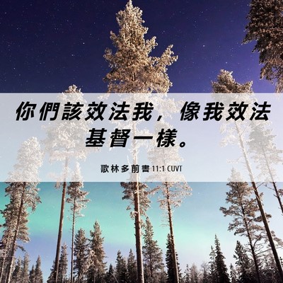 Picture 06 - 歌 林 多 前 書 11:1 CUVT - 你 們 該 效 法 我 ， 像 我 效 法 基 - Bible Verse Picture