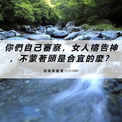 Picture 06 - 歌 林 多 前 書 11:13 CUVT - 你 們 自 己 審 察 ， 女 人 禱 告 神 - Bible Verse Picture