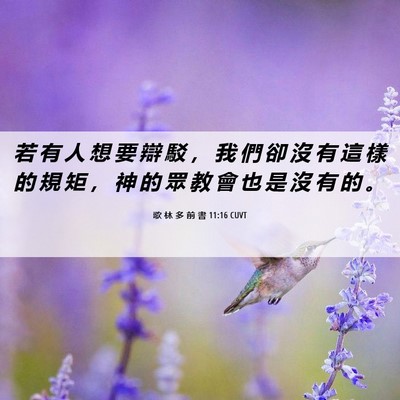 Picture 06 - 歌 林 多 前 書 11:16 CUVT - 若 有 人 想 要 辯 駁 ， 我 們 卻 沒 - Bible Verse Picture
