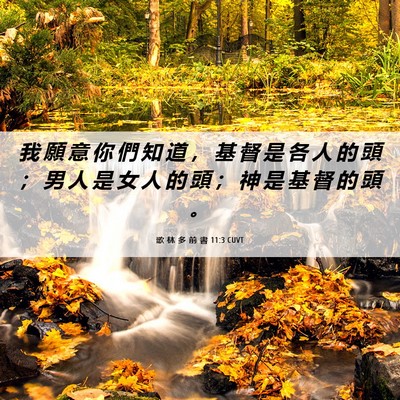Picture 06 - 歌 林 多 前 書 11:3 CUVT - 我 願 意 你 們 知 道 ， 基 督 是 各 - Bible Verse Picture