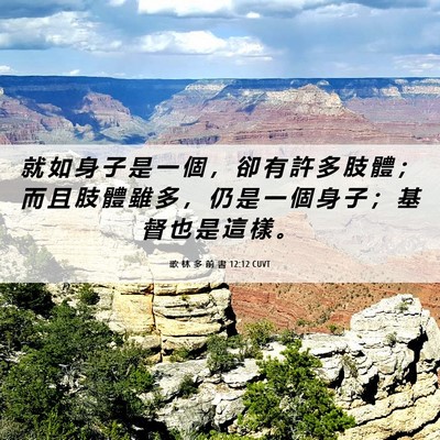 Picture 06 - 歌 林 多 前 書 12:12 CUVT - 就 如 身 子 是 一 個 ， 卻 有 許 多 - Bible Verse Picture