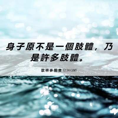 Picture 06 - 歌 林 多 前 書 12:14 CUVT - 身 子 原 不 是 一 個 肢 體 ， 乃 是 - Bible Verse Picture
