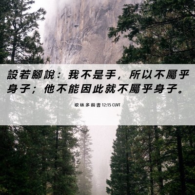Picture 06 - 歌 林 多 前 書 12:15 CUVT - 設 若 腳 說 ： 我 不 是 手 ， 所 以 - Bible Verse Picture
