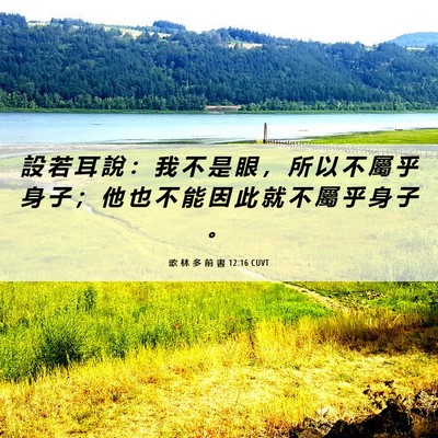 Picture 06 - 歌 林 多 前 書 12:16 CUVT - 設 若 耳 說 ： 我 不 是 眼 ， 所 以 - Bible Verse Picture