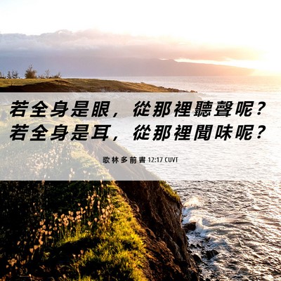 Picture 06 - 歌 林 多 前 書 12:17 CUVT - 若 全 身 是 眼 ， 從 那 裡 聽 聲 呢 - Bible Verse Picture