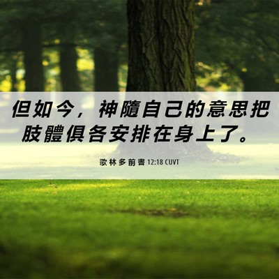Picture 06 - 歌 林 多 前 書 12:18 CUVT - 但 如 今 ， 神 隨 自 己 的 意 思 把 - Bible Verse Picture