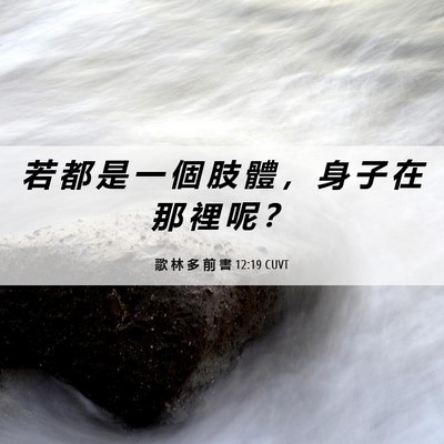 Picture 06 - 歌 林 多 前 書 12:19 CUVT - 若 都 是 一 個 肢 體 ， 身 子 在 那 - Bible Verse Picture