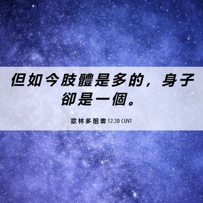 Picture 06 - 歌 林 多 前 書 12:20 CUVT - 但 如 今 肢 體 是 多 的 ， 身 子 卻 - Bible Verse Picture