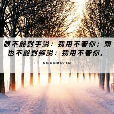 Picture 06 - 歌 林 多 前 書 12:21 CUVT - 眼 不 能 對 手 說 ： 我 用 不 著 你 - Bible Verse Picture