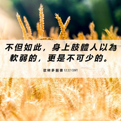 Picture 06 - 歌 林 多 前 書 12:22 CUVT - 不 但 如 此 ， 身 上 肢 體 人 以 為 - Bible Verse Picture