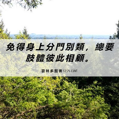 Picture 06 - 歌 林 多 前 書 12:25 CUVT - 免 得 身 上 分 門 別 類 ， 總 要 肢 - Bible Verse Picture