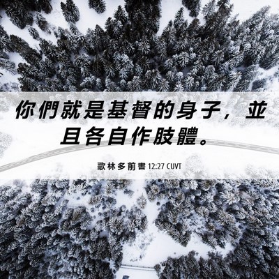 Picture 06 - 歌 林 多 前 書 12:27 CUVT - 你 們 就 是 基 督 的 身 子 ， 並 且 - Bible Verse Picture