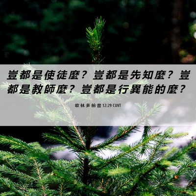 Picture 06 - 歌 林 多 前 書 12:29 CUVT - 豈 都 是 使 徒 麼 ？ 豈 都 是 先 知 - Bible Verse Picture