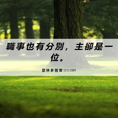 Picture 06 - 歌 林 多 前 書 12:5 CUVT - 職 事 也 有 分 別 ， 主 卻 是 一 位 - Bible Verse Picture