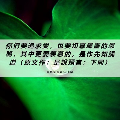 Picture 06 - 歌 林 多 前 書 14:1 CUVT - 你 們 要 追 求 愛 ， 也 要 切 慕 屬 - Bible Verse Picture