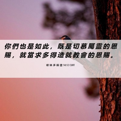 Picture 06 - 歌 林 多 前 書 14:12 CUVT - 你 們 也 是 如 此 ， 既 是 切 慕 屬 - Bible Verse Picture