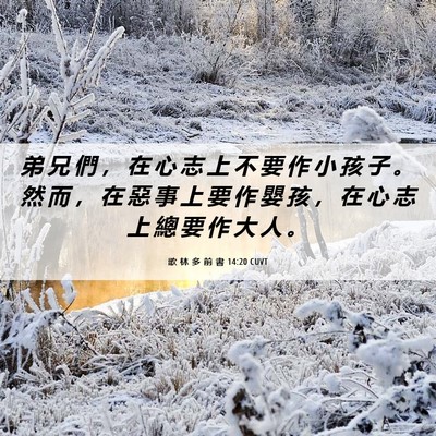 Picture 06 - 歌 林 多 前 書 14:20 CUVT - 弟 兄 們 ， 在 心 志 上 不 要 作 小 - Bible Verse Picture