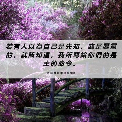 Picture 06 - 歌 林 多 前 書 14:37 CUVT - 若 有 人 以 為 自 己 是 先 知 ， 或 - Bible Verse Picture