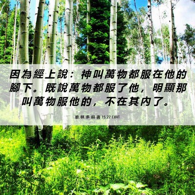 Picture 06 - 歌 林 多 前 書 15:27 CUVT - 因 為 經 上 說 ： 神 叫 萬 物 都 服 - Bible Verse Picture