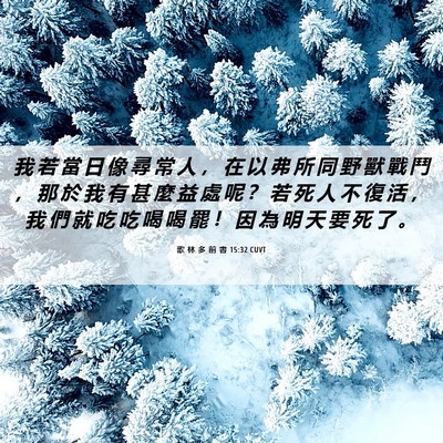 Picture 06 - 歌 林 多 前 書 15:32 CUVT - 我 若 當 日 像 尋 常 人 ， 在 以 弗 - Bible Verse Picture