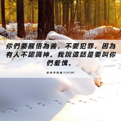 Picture 06 - 歌 林 多 前 書 15:34 CUVT - 你 們 要 醒 悟 為 善 ， 不 要 犯 罪 - Bible Verse Picture