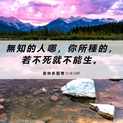 Picture 06 - 歌 林 多 前 書 15:36 CUVT - 無 知 的 人 哪 ， 你 所 種 的 ， 若 - Bible Verse Picture
