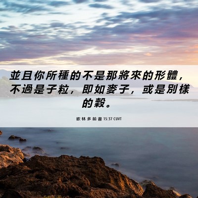 Picture 06 - 歌 林 多 前 書 15:37 CUVT - 並 且 你 所 種 的 不 是 那 將 來 的 - Bible Verse Picture