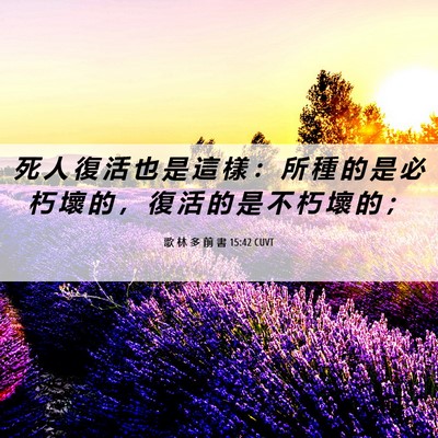 Picture 06 - 歌 林 多 前 書 15:42 CUVT - 死 人 復 活 也 是 這 樣 ： 所 種 的 - Bible Verse Picture