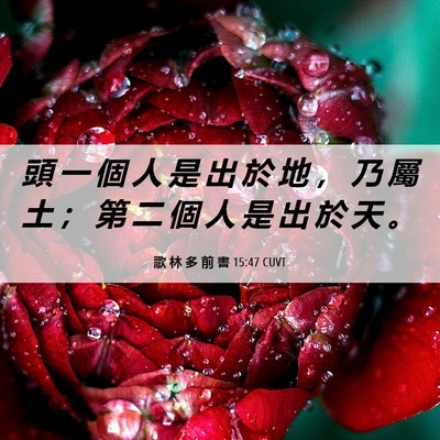 Picture 06 - 歌 林 多 前 書 15:47 CUVT - 頭 一 個 人 是 出 於 地 ， 乃 屬 土 - Bible Verse Picture