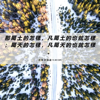 Picture 06 - 歌 林 多 前 書 15:48 CUVT - 那 屬 土 的 怎 樣 ， 凡 屬 土 的 也 - Bible Verse Picture