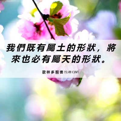 Picture 06 - 歌 林 多 前 書 15:49 CUVT - 我 們 既 有 屬 土 的 形 狀 ， 將 來 - Bible Verse Picture