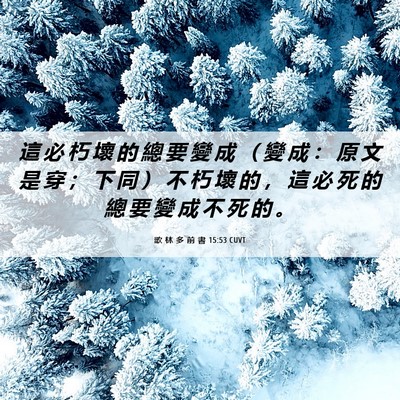 Picture 06 - 歌 林 多 前 書 15:53 CUVT - 這 必 朽 壞 的 總 要 變 成 （ 變 成 - Bible Verse Picture