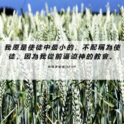 Picture 06 - 歌 林 多 前 書 15:9 CUVT - 我 原 是 使 徒 中 最 小 的 ， 不 配 - Bible Verse Picture