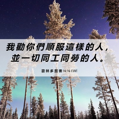 Picture 06 - 歌 林 多 前 書 16:16 CUVT - 我 勸 你 們 順 服 這 樣 的 人 ， 並 - Bible Verse Picture