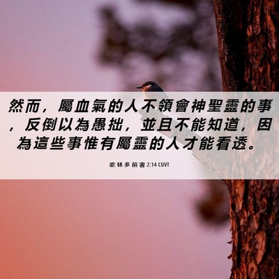 Picture 06 - 歌 林 多 前 書 2:14 CUVT - 然 而 ， 屬 血 氣 的 人 不 領 會 神 - Bible Verse Picture