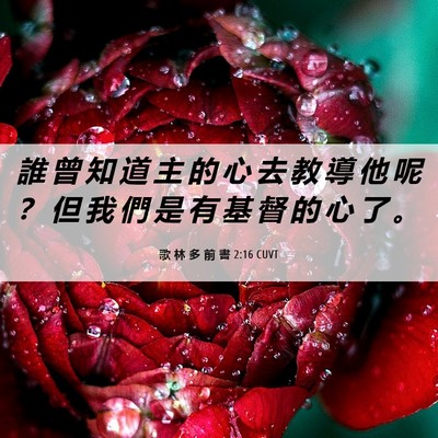 Picture 06 - 歌 林 多 前 書 2:16 CUVT - 誰 曾 知 道 主 的 心 去 教 導 他 呢 - Bible Verse Picture
