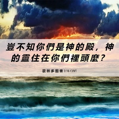 Picture 06 - 歌 林 多 前 書 3:16 CUVT - 豈 不 知 你 們 是 神 的 殿 ， 神 的 - Bible Verse Picture