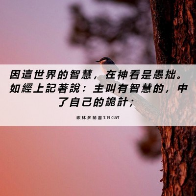 Picture 06 - 歌 林 多 前 書 3:19 CUVT - 因 這 世 界 的 智 慧 ， 在 神 看 是 - Bible Verse Picture