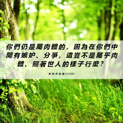 Picture 06 - 歌 林 多 前 書 3:3 CUVT - 你 們 仍 是 屬 肉 體 的 ， 因 為 在 - Bible Verse Picture