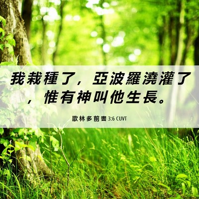 Picture 06 - 歌 林 多 前 書 3:6 CUVT - 我 栽 種 了 ， 亞 波 羅 澆 灌 了 ， - Bible Verse Picture