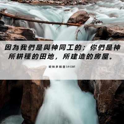 Picture 06 - 歌 林 多 前 書 3:9 CUVT - 因 為 我 們 是 與 神 同 工 的 ； 你 - Bible Verse Picture